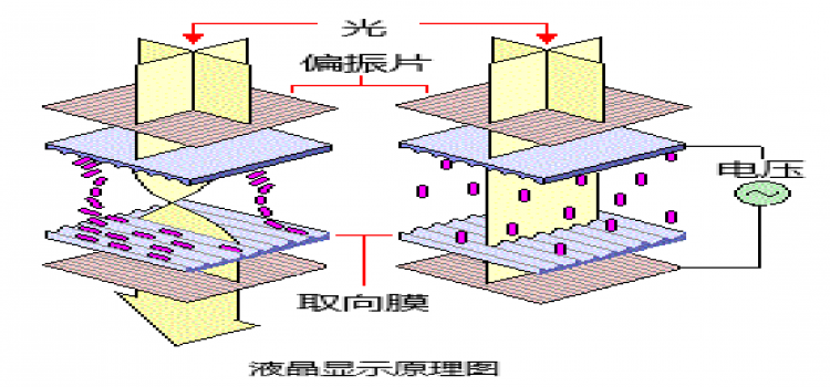 常见液晶显示屏的种类